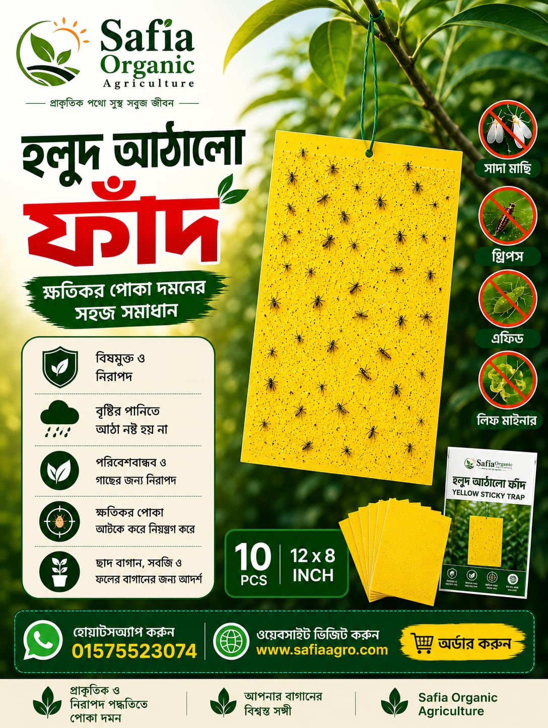 Yellow Sticky Trap (12 x 8) Inches 10 pcs