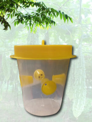 ফেরোমোন বক্স | Feromen Box