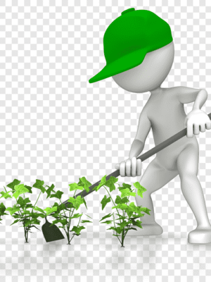 কৃষি-পণ্য