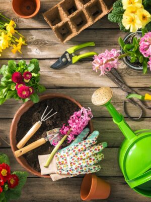 gardening tools
