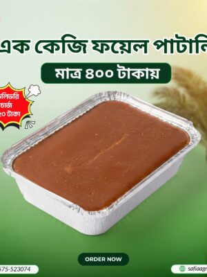 ১ কেজি পাটালি গুড়