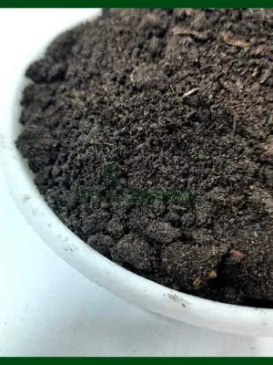 গোবর সার ১ কেজি – Gobor Shar – Cow Dung Manure