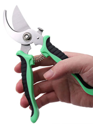 Secateur (Pruning Shears)