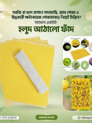 WhatsApp Image 2026-02-20 at 3.47.26 AM Yellow Sticky Trap 10 pcs