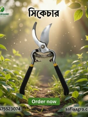 ডালপালা ছাঁটার কাঁচি