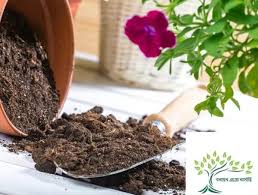 Vermicompost (কেঁচো কম্পোস্ট) – 1kg