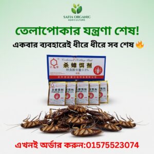 Dahao Cockroach Killer 6 প্যাকেট
