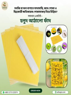 Yellow Sticky Trap 10 pcs (12 x 8 Inches)