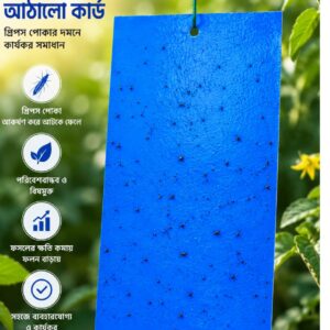 (Blue Sticky Trap) 10 pcs  (10 x 8 Inches)