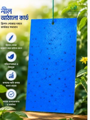 (Blue Sticky Trap) 10 pcs  (10 x 8 Inches)
